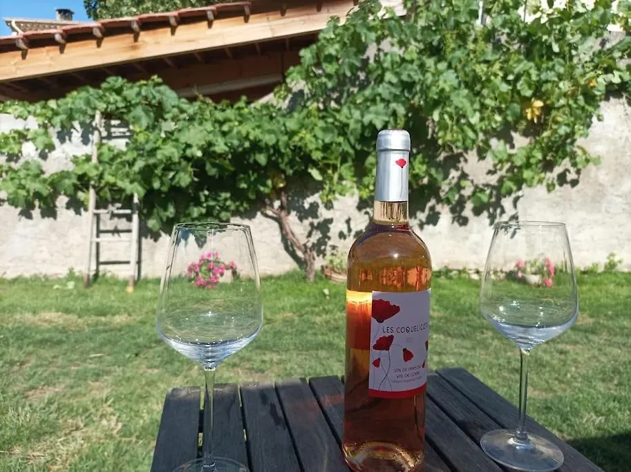 Hébergement de vacances Villa La Petite Jarlandine à Chateau-Arnoux-Saint-Auban